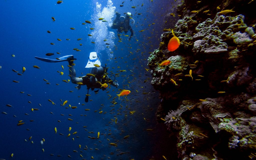 diving-sea